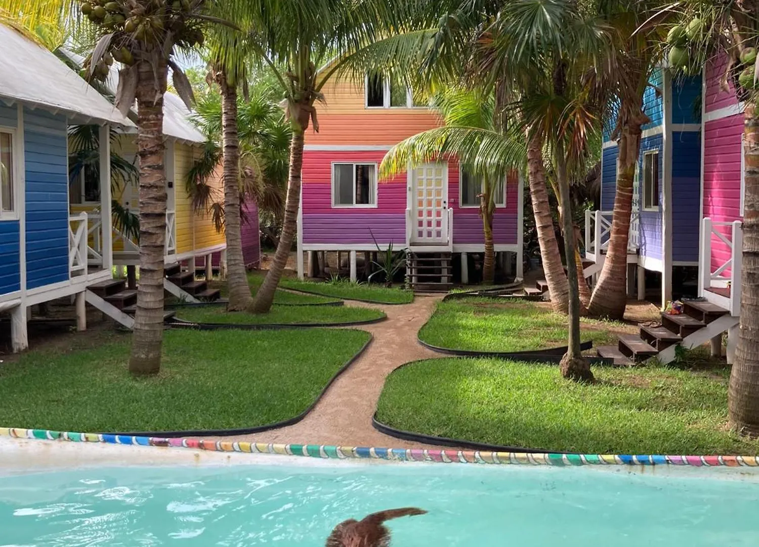 Bed & Breakfast Whyknot Holbox Bed and Breakfast